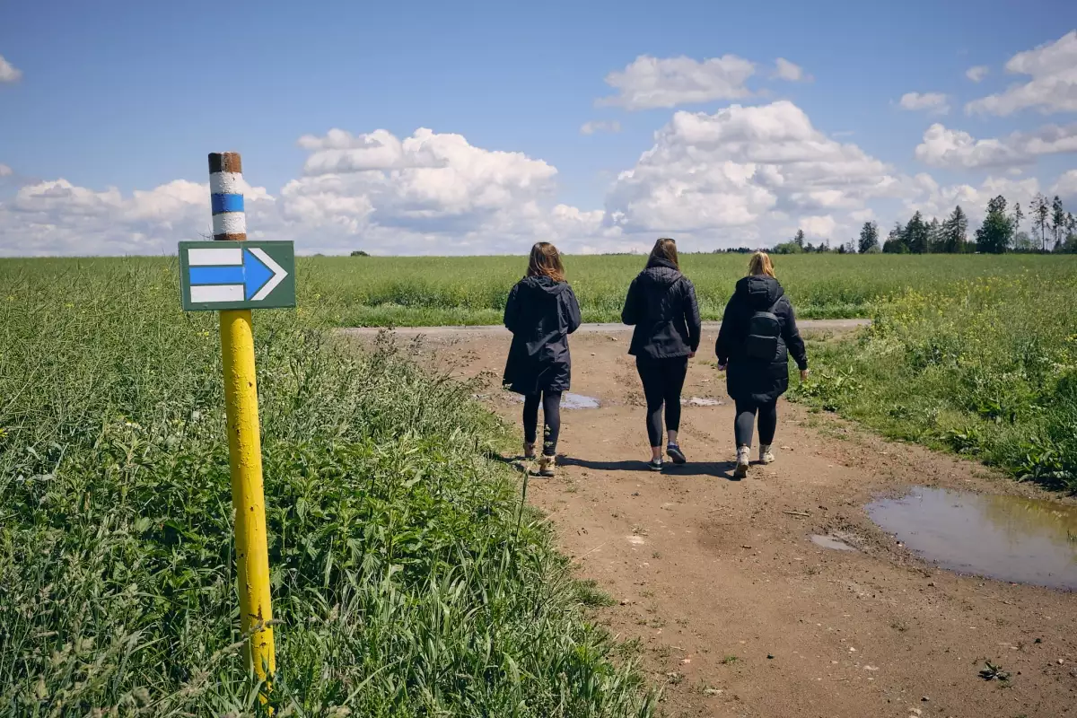 Cesta Habry-Leškovice-Vepříkov