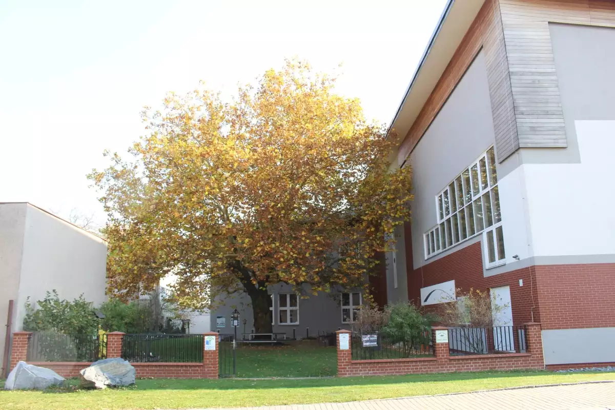 Přírodní zahrada a geopark U Platanu