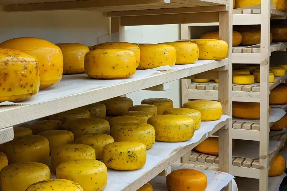 TONKA – sýrárna na statku